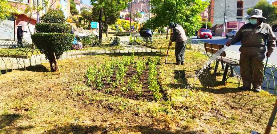 Alcaldía de La Paz tiene 617 conexiones de agua potable para el riego de jardineras, Epsas cortó el servicio