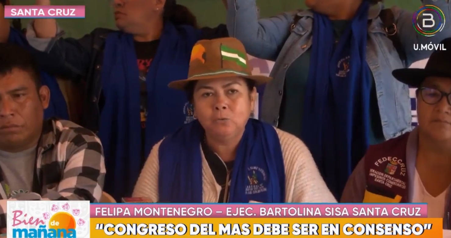 “Bartolinas”: Nos sentimos satisfechas, el TSE hizo justicia al anular el congreso en Lauca Ñ