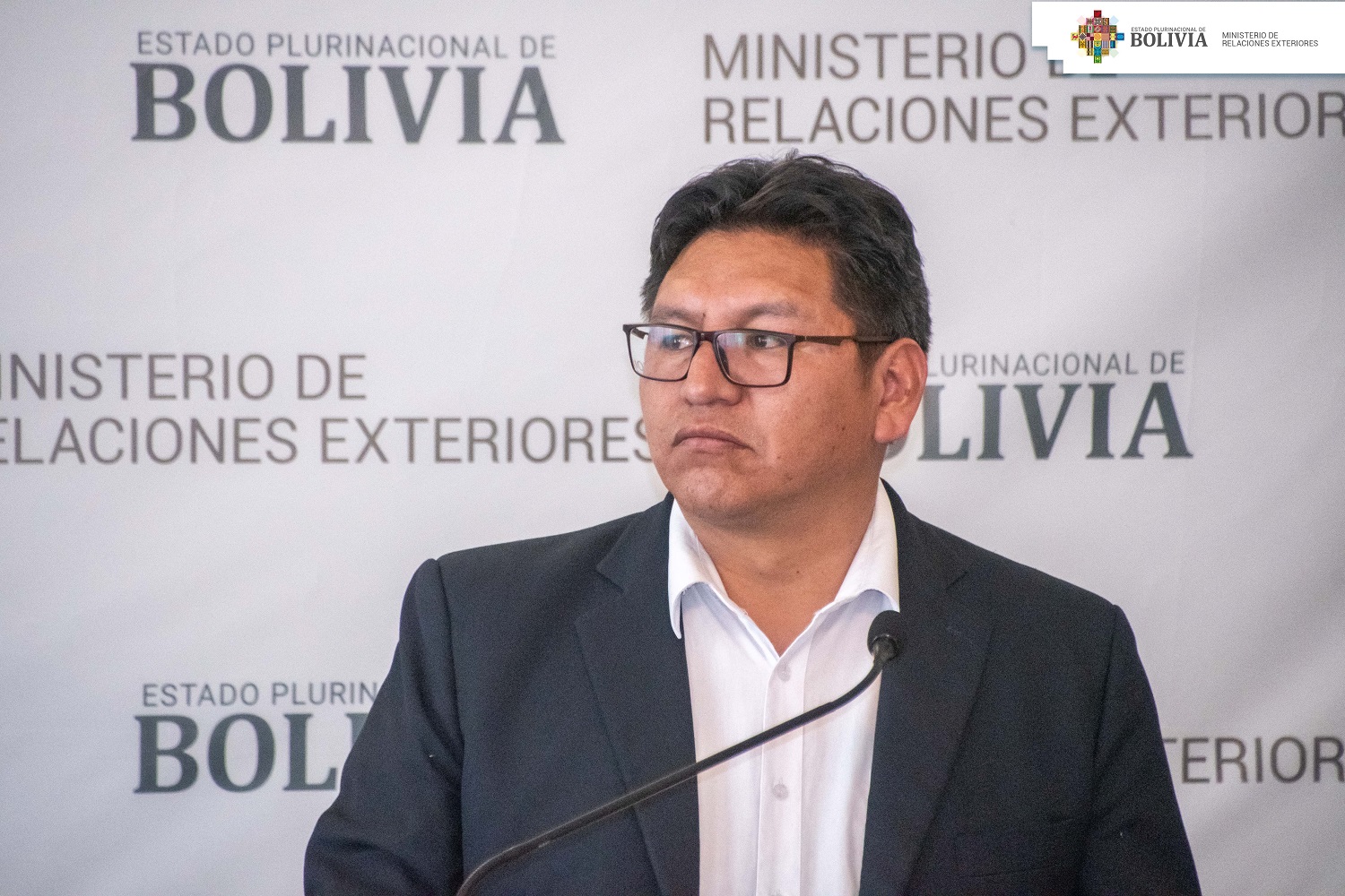 Bolivia inicia elaboración de la estrategia para el Año Internacional de los Camélidos 2024
