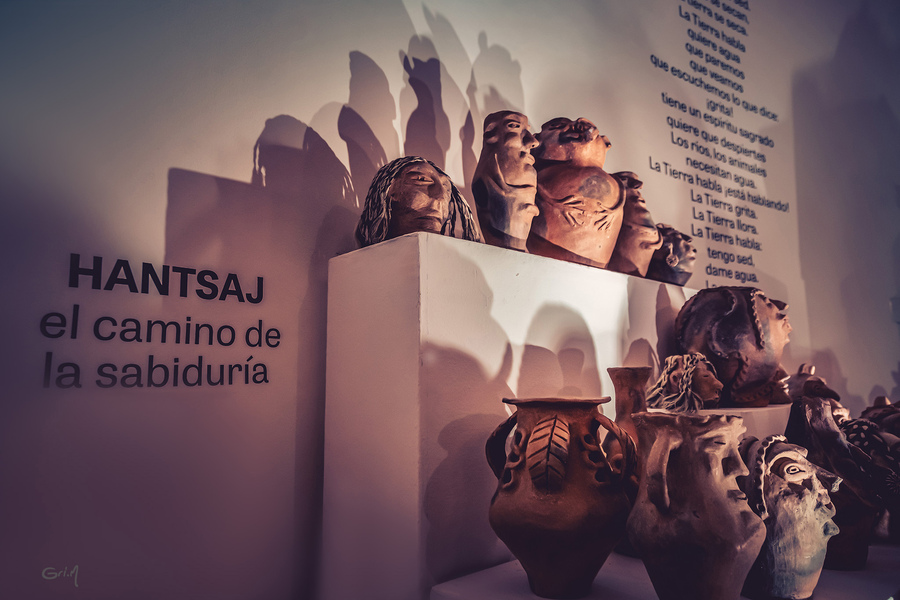 “Otheiwhe´Ney La visión” muestra de arte wichí del Gran Chaco argentino propone escuchar a la Madre Tierra