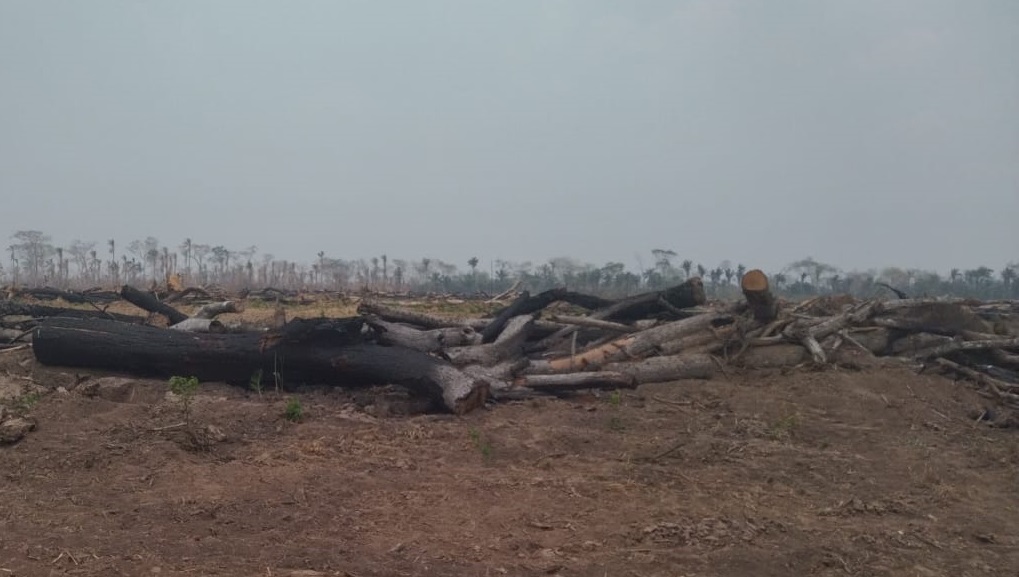 ABT inicia 475 procesos administrativos y 19 pasaron a la vía penal por quemas ilegales