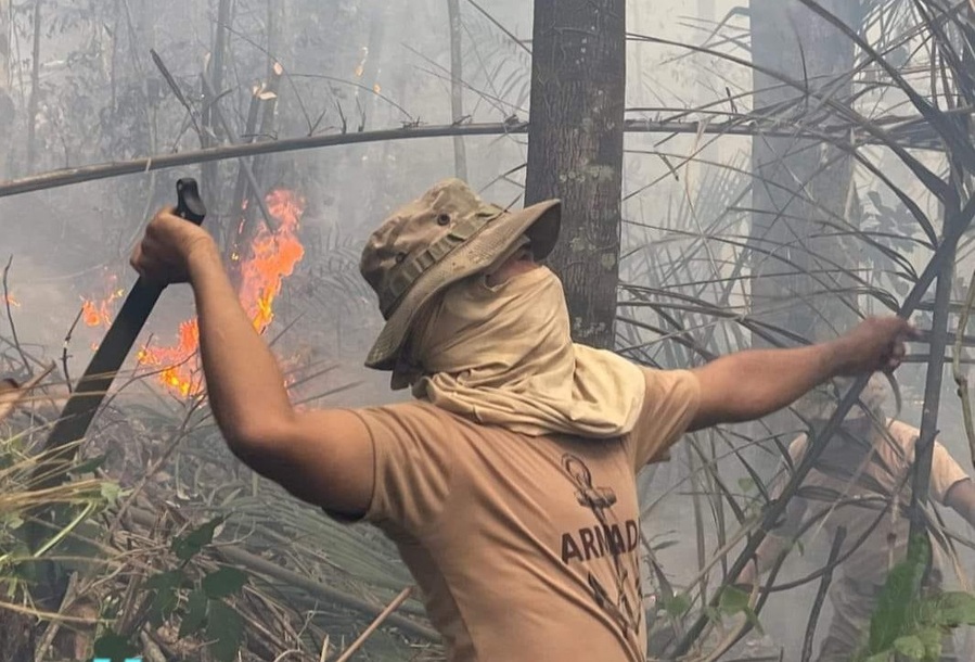 Bomberos controlan cerca del 95% de incendios en el país