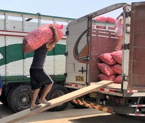 Trabajo interviene y logra que ocho estibadores impagos de Puerto Suárez cobren Bs 24 mil