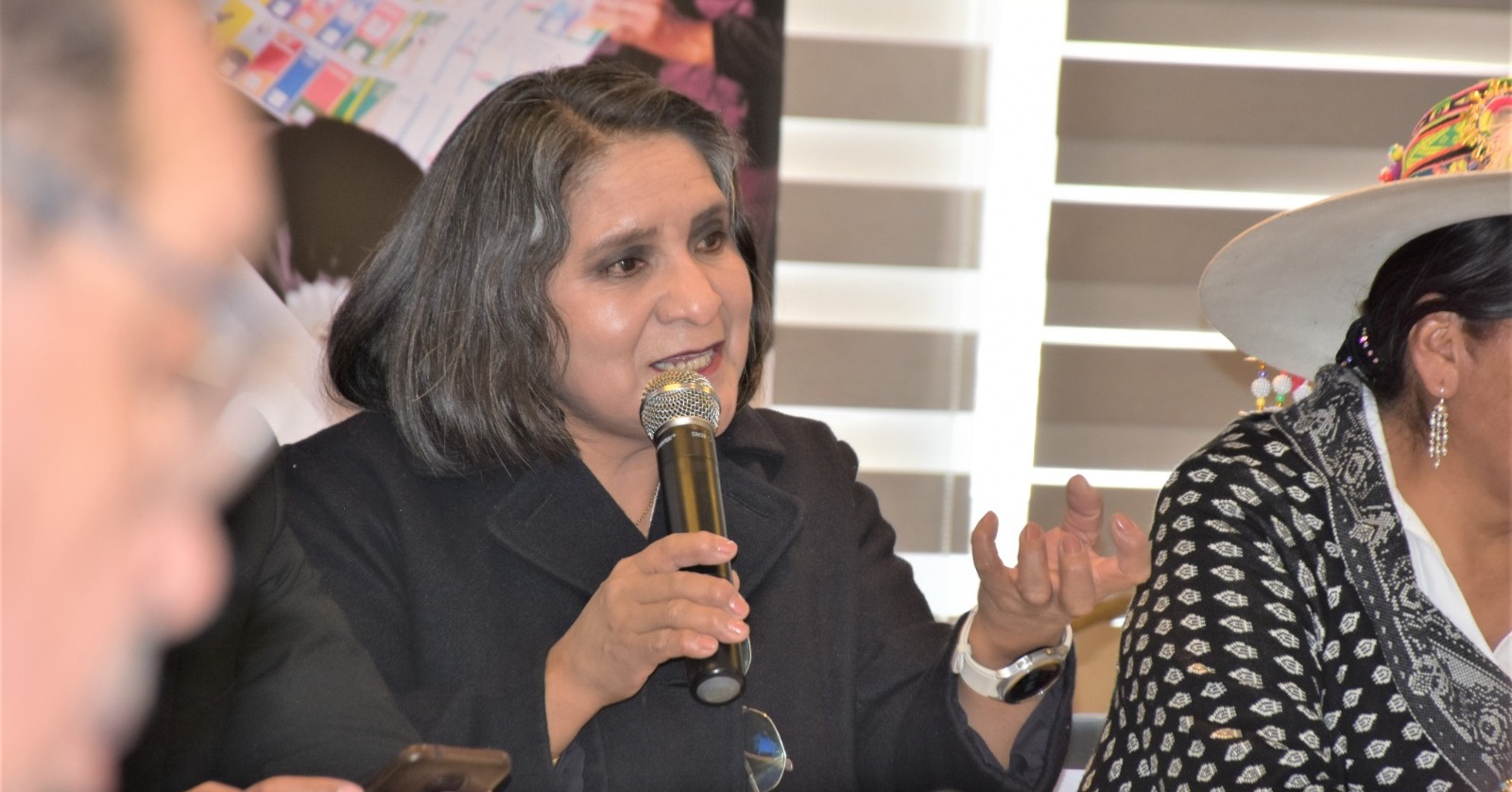 Vocales presentan anteproyecto de ley para elecciones primarias con mínimo dos binomios