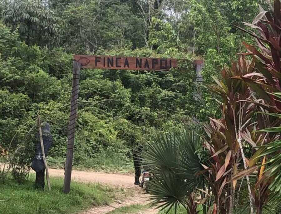 Destruyen mega fábrica de droga en una finca del Chapare y detienen a cuatro personas