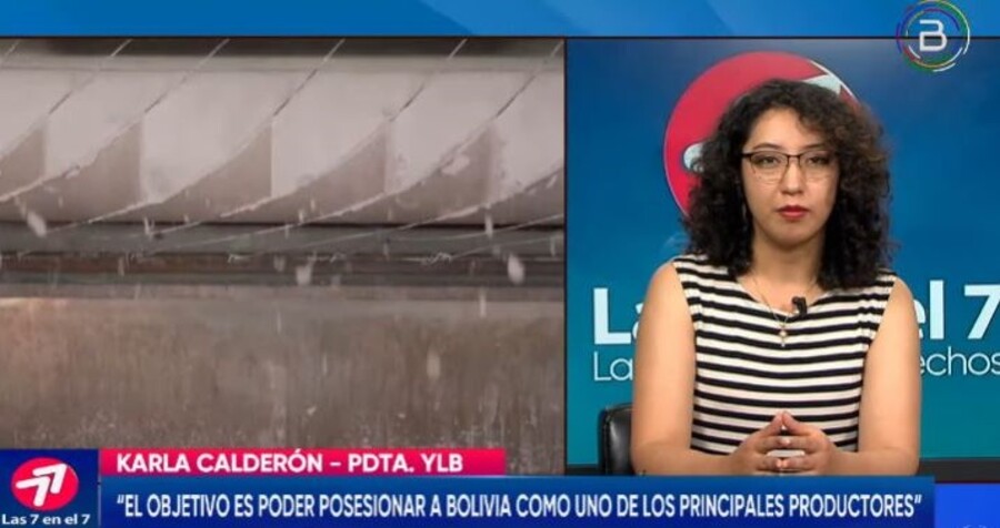 YLB garantiza para esta gestión el inicio de operaciones de la Planta de Carbonato de Litio