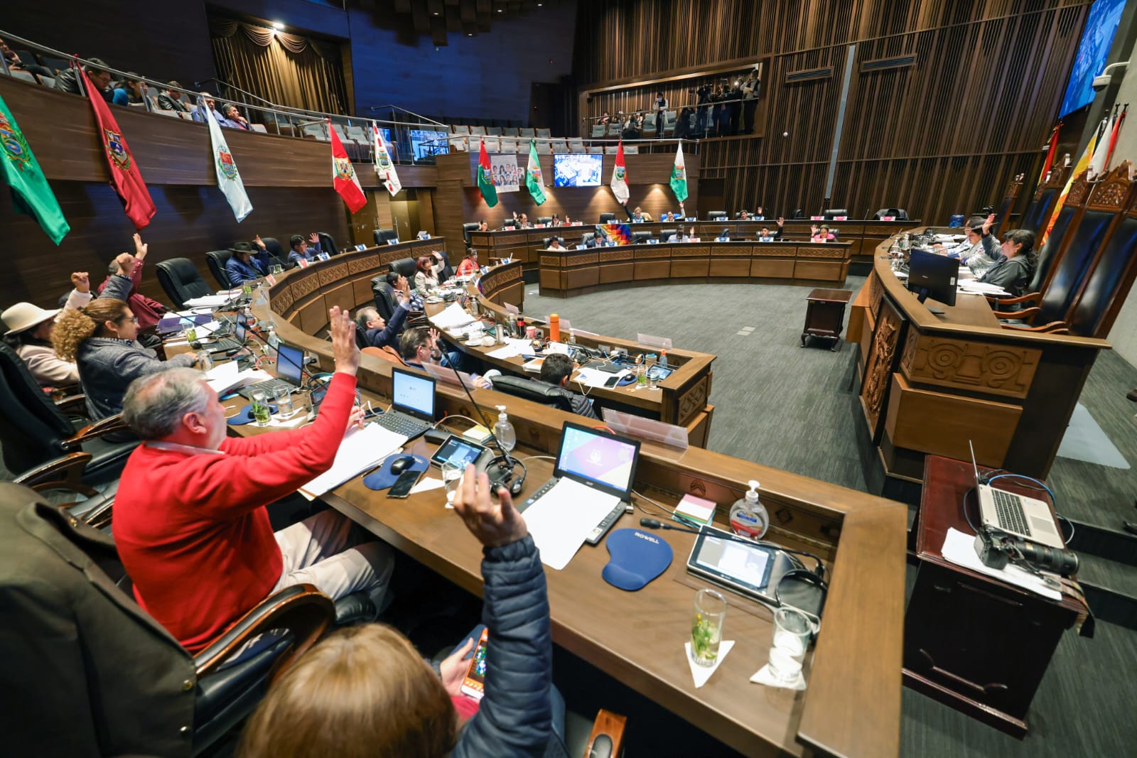 Senadora Castillo alerta sobre posible inconstitucionalidad del proyecto de ley que suspende plazos procesales en el Judicial y TCP