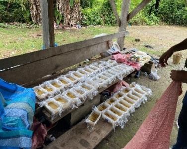 Fuerza antidroga incauta 103 kilogramos de cocaína en Villa Tunari