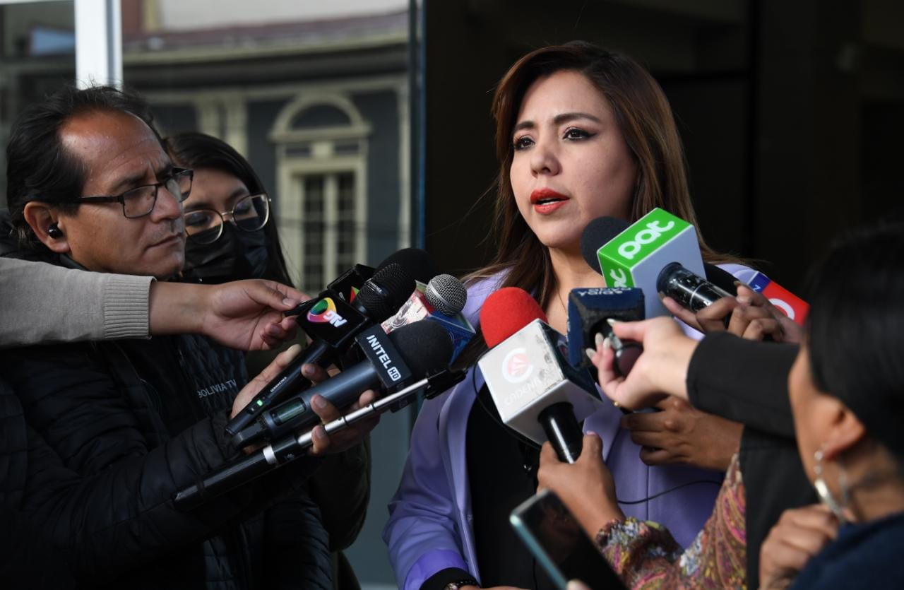 Viceministra Alcón: Demandas cívicas son inconstitucionales y apuntan a la impunidad por los hechos de 2019