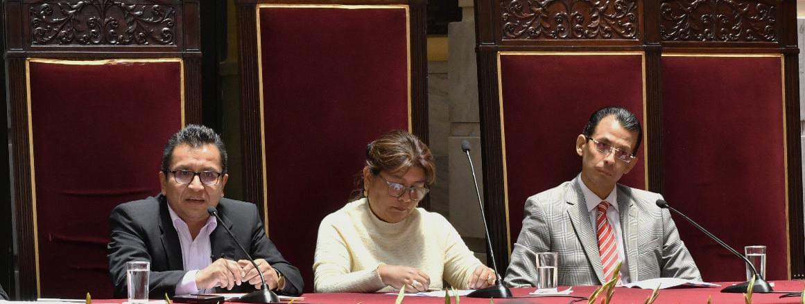 Defensor del Pueblo asegura que la nueva CPE consolida un catálogo de derechos humanos