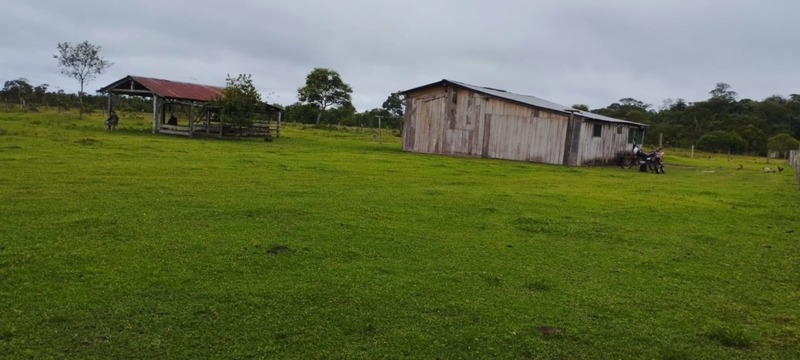 Destruyen dos pistas clandestinas y secuestran 293 kilos de droga en Beni, hay dos aprehendidos