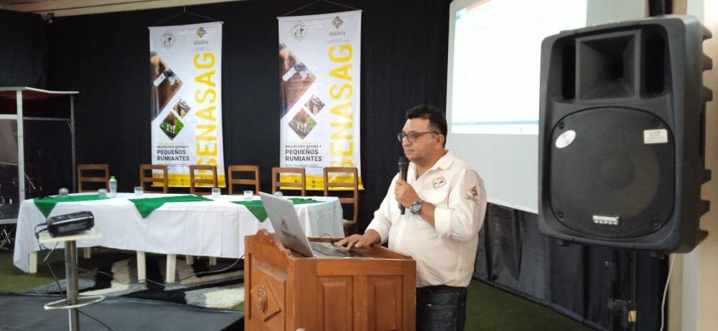 Senasag inicia control de brucelosis bovina en Pando