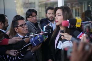 Viceministra Alcón pide dejar especulaciones y recuerda que es atribución presidencial designación de vocal en TSE