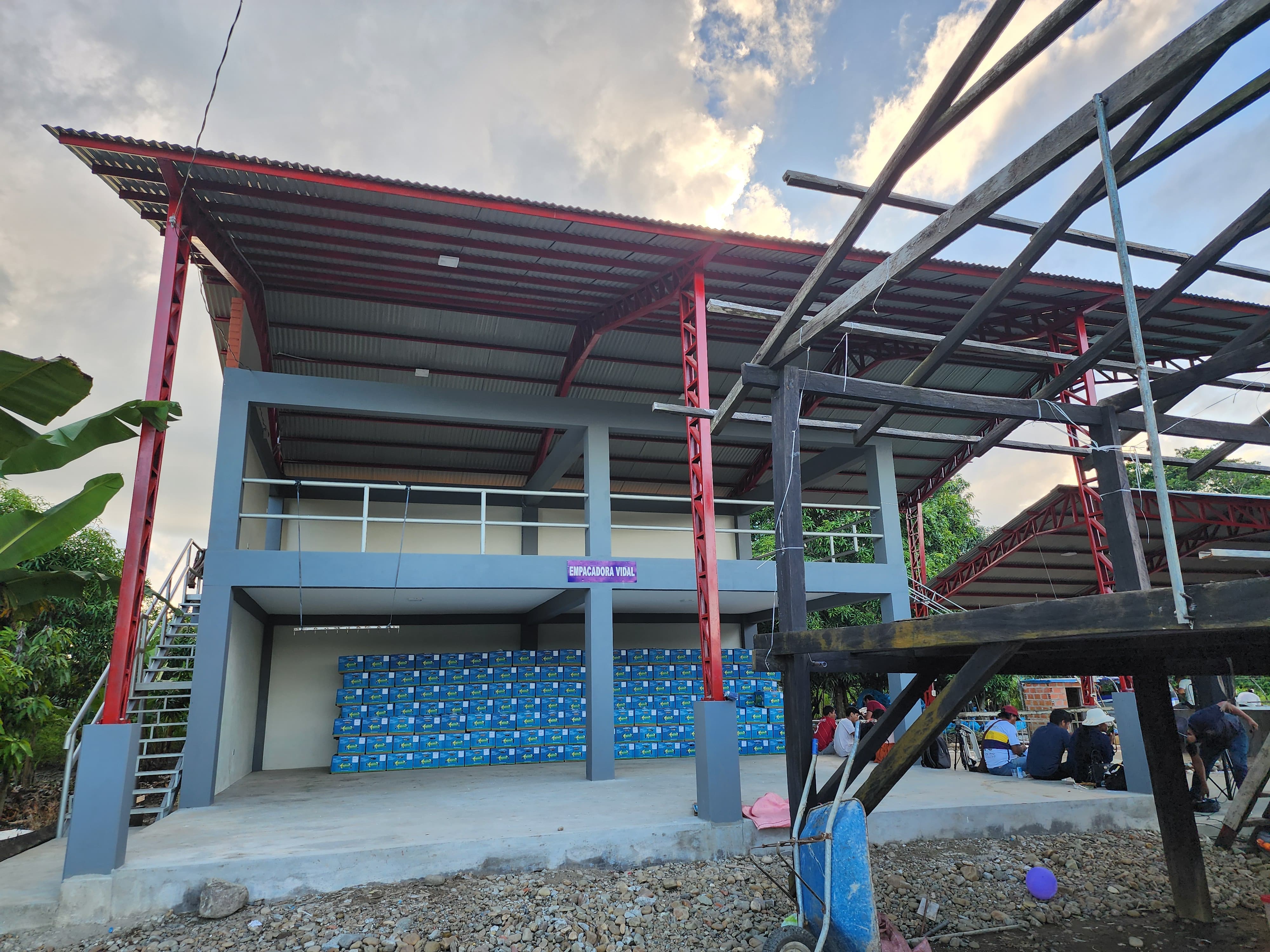 Fortalecen producción y venta de banano en el Trópico de Cochabamba con inyección de Bs 2,1 millones