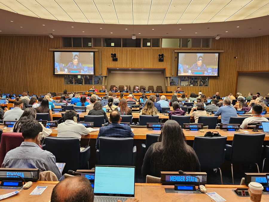 Vicepresidente insta a luchar porque la libre determinación sea efectivamente practicada por los pueblos originarios