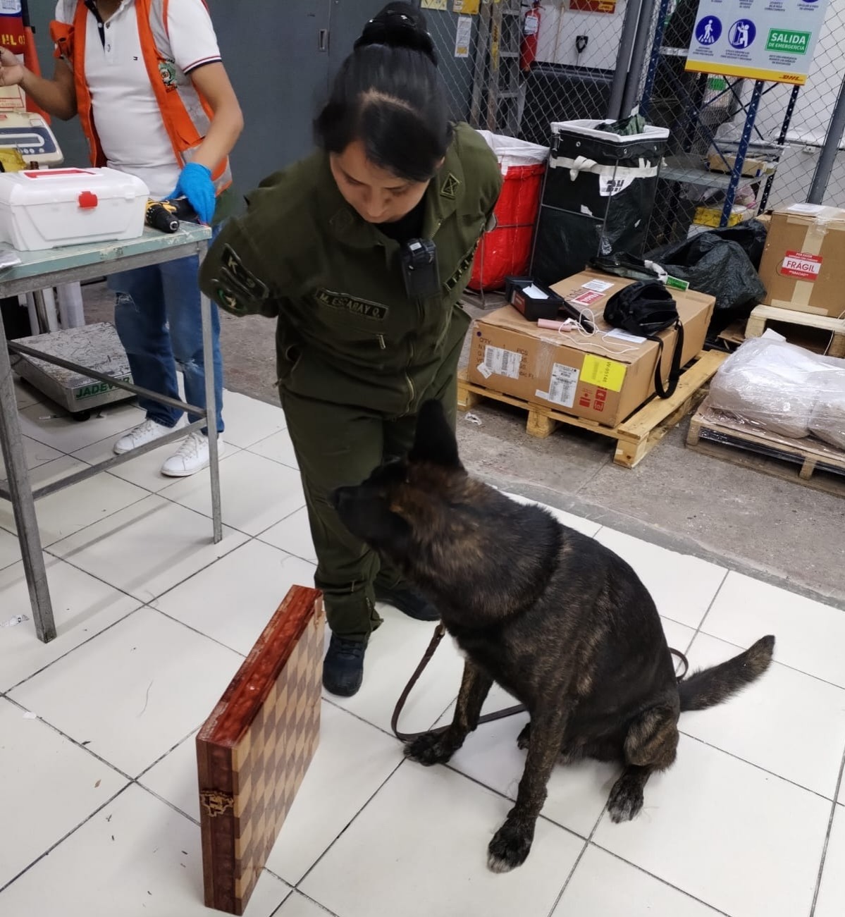 En Viru Viru can detecta más de 11 kilos de cocaína escondida en un tablero de ajedrez con destino a España