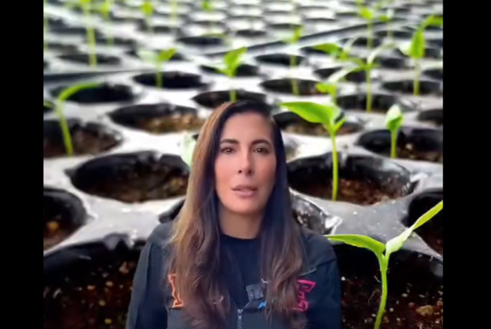 Concejala impulsa campaña de arborización y reforestación para recuperar áreas verdes en La Paz