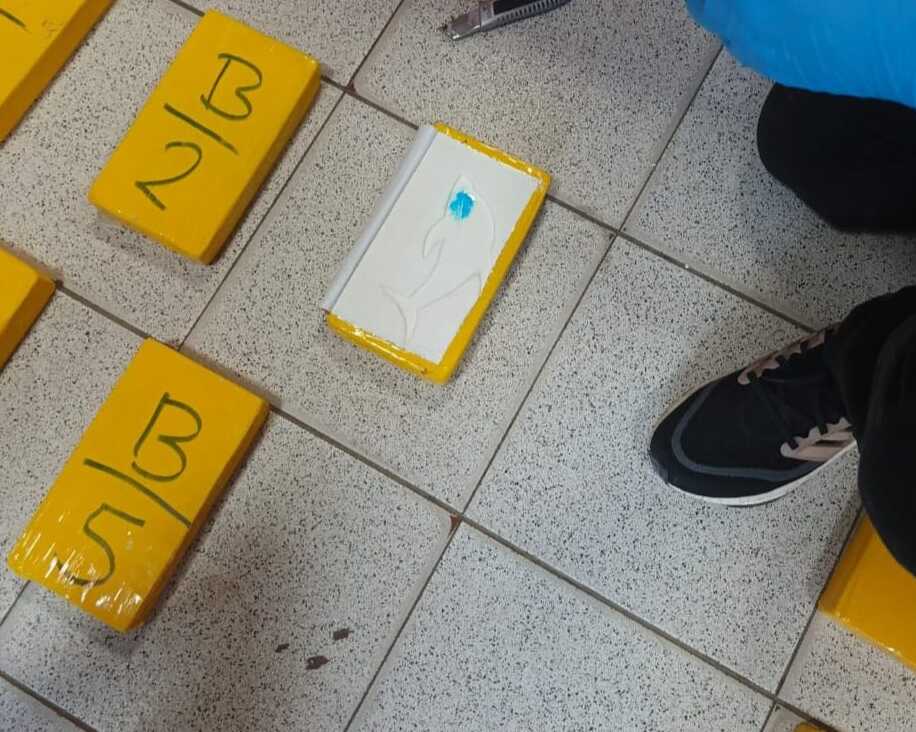 Felcn causa afectación de más de $us 479.000 al patrimonio del narcotráfico en Santa Cruz 