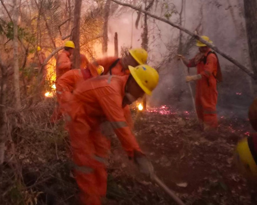 Bomberos forestales combaten ocho incendios en Santa Cruz y Beni 