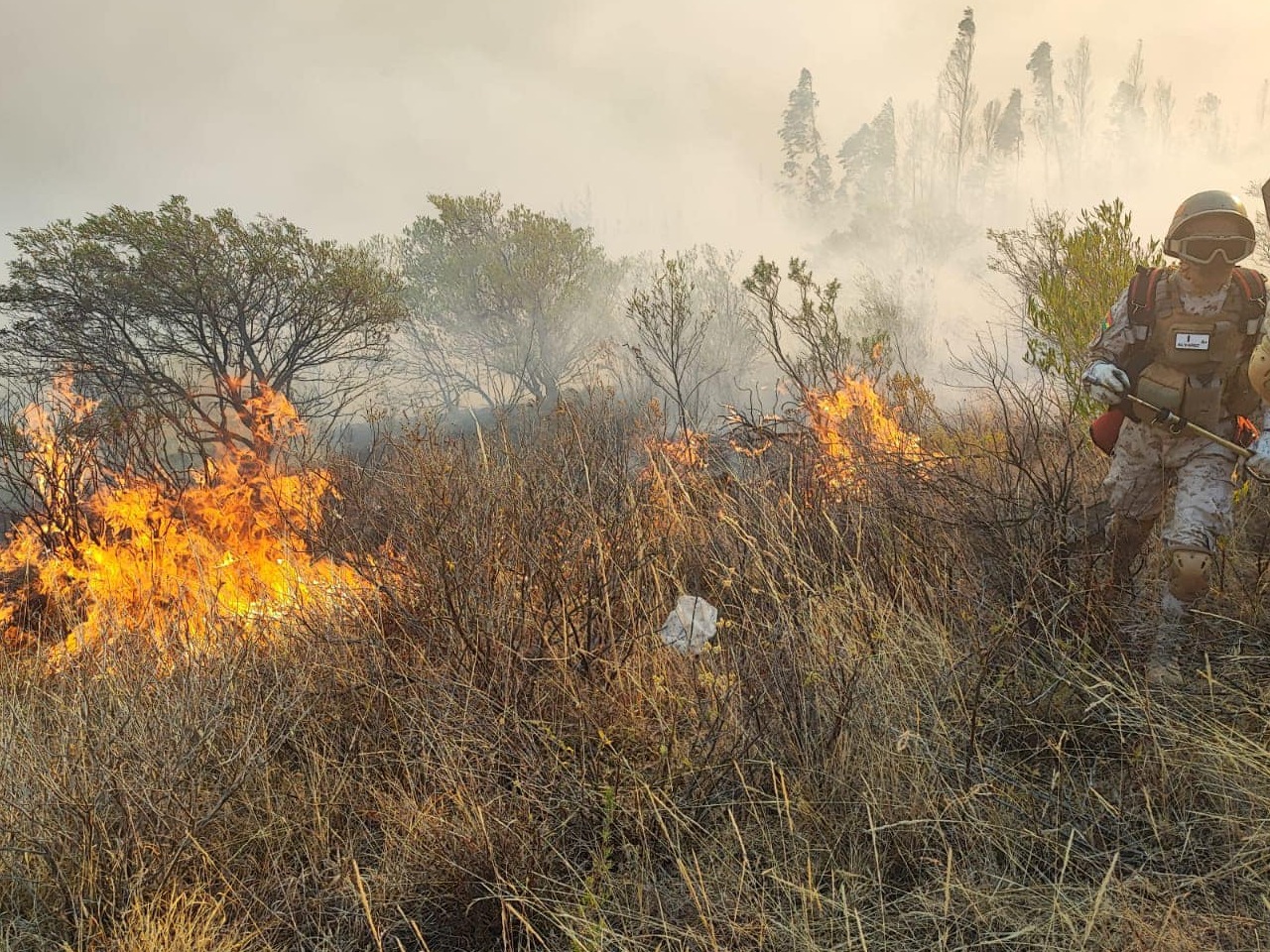 Piden investigar y aprehender a responsables del incendio en el Parque Nacional Otuquis