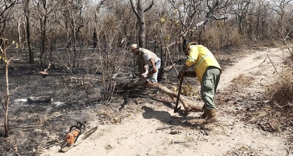 Defensa Civil insiste en que responsables de quemas deben ser sancionados “ejemplarmente”