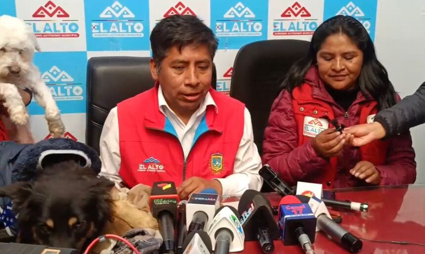 Medio centenar de animales de compañía serán dados en adopción el viernes en El Alto