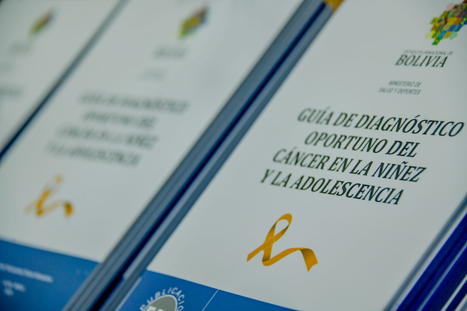 La Guía de Diagnóstico Oportuno del Cáncer en la Niñez y Adolescencia. Foto: MinSalud.