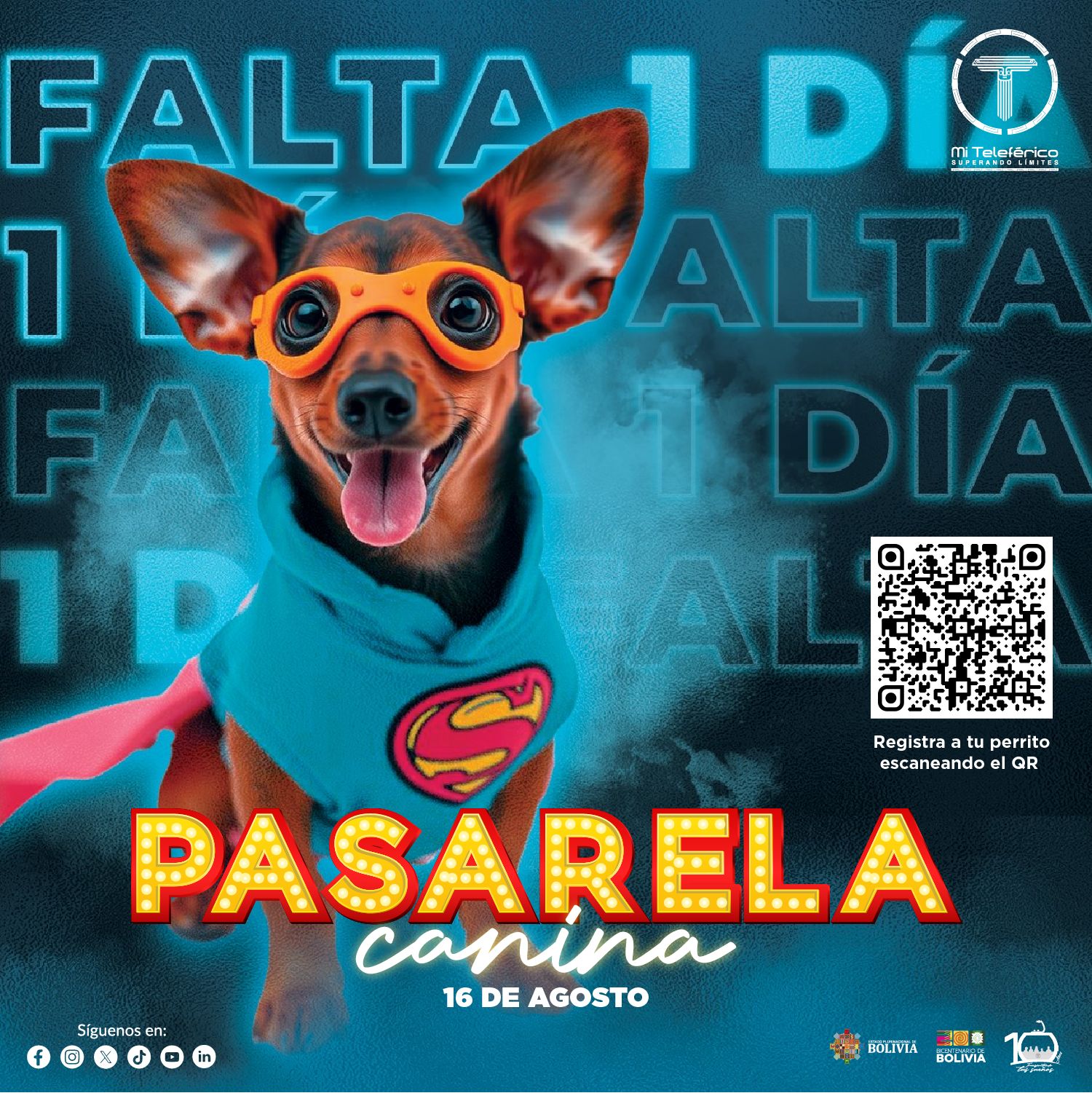 San Roque en La Paz y El Alto será un día de adopción y pasarela de canes