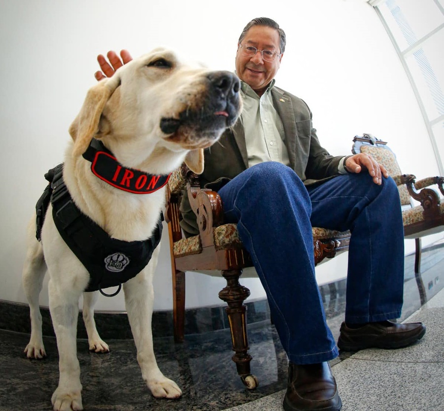 En el Día de San Roque instan a adoptar canes y brindarles protección