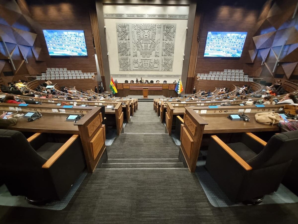 Créditos estancados en la ALP tienen objetivos específicos, no pueden ser desviados