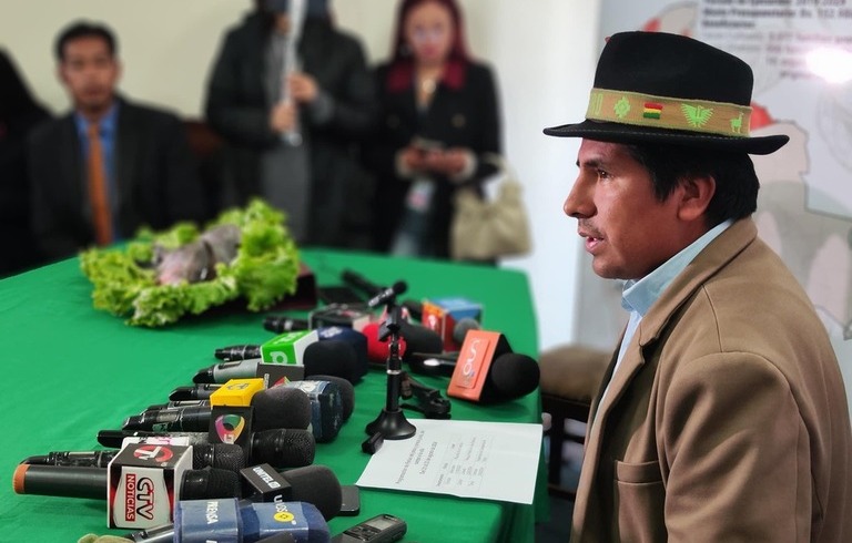 Arroz acopiado ilegalmente y desviado al contrabando afecta el abastecimiento interno