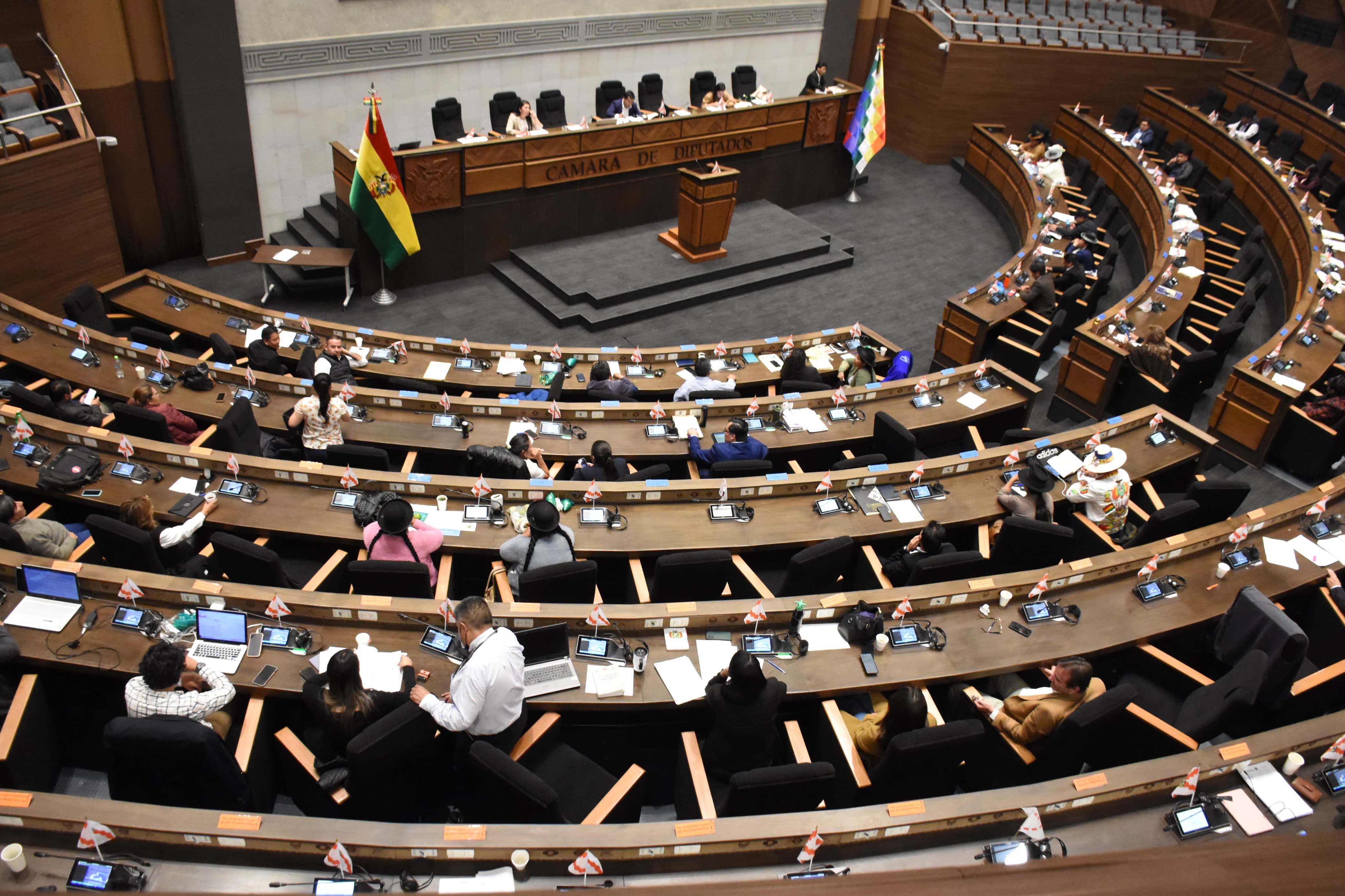 Diputados agenda tratamiento de dos créditos para generación de empleo y carreteras por $us 218 millones