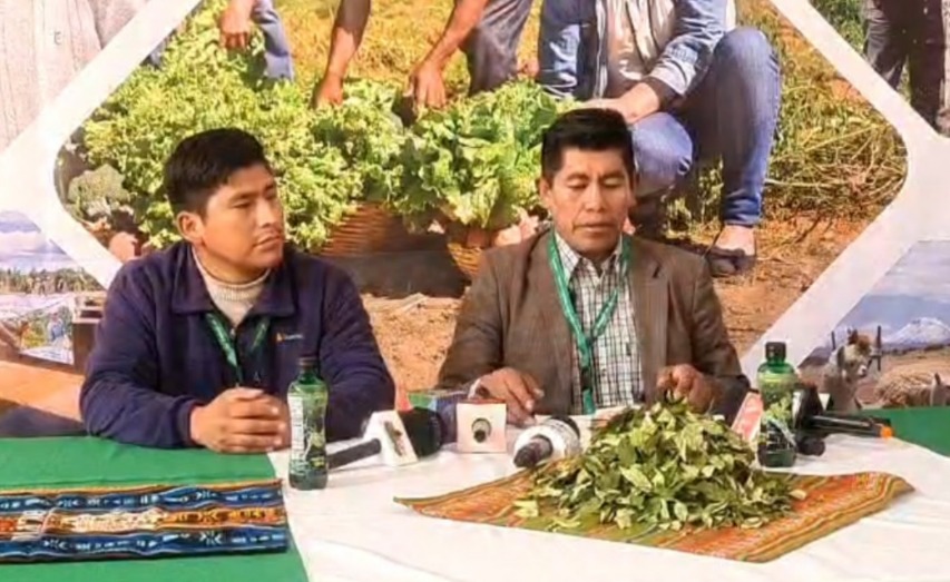 Carnet de productores de coca en Yungas está vigente hasta el 2025, no hay recarnetización