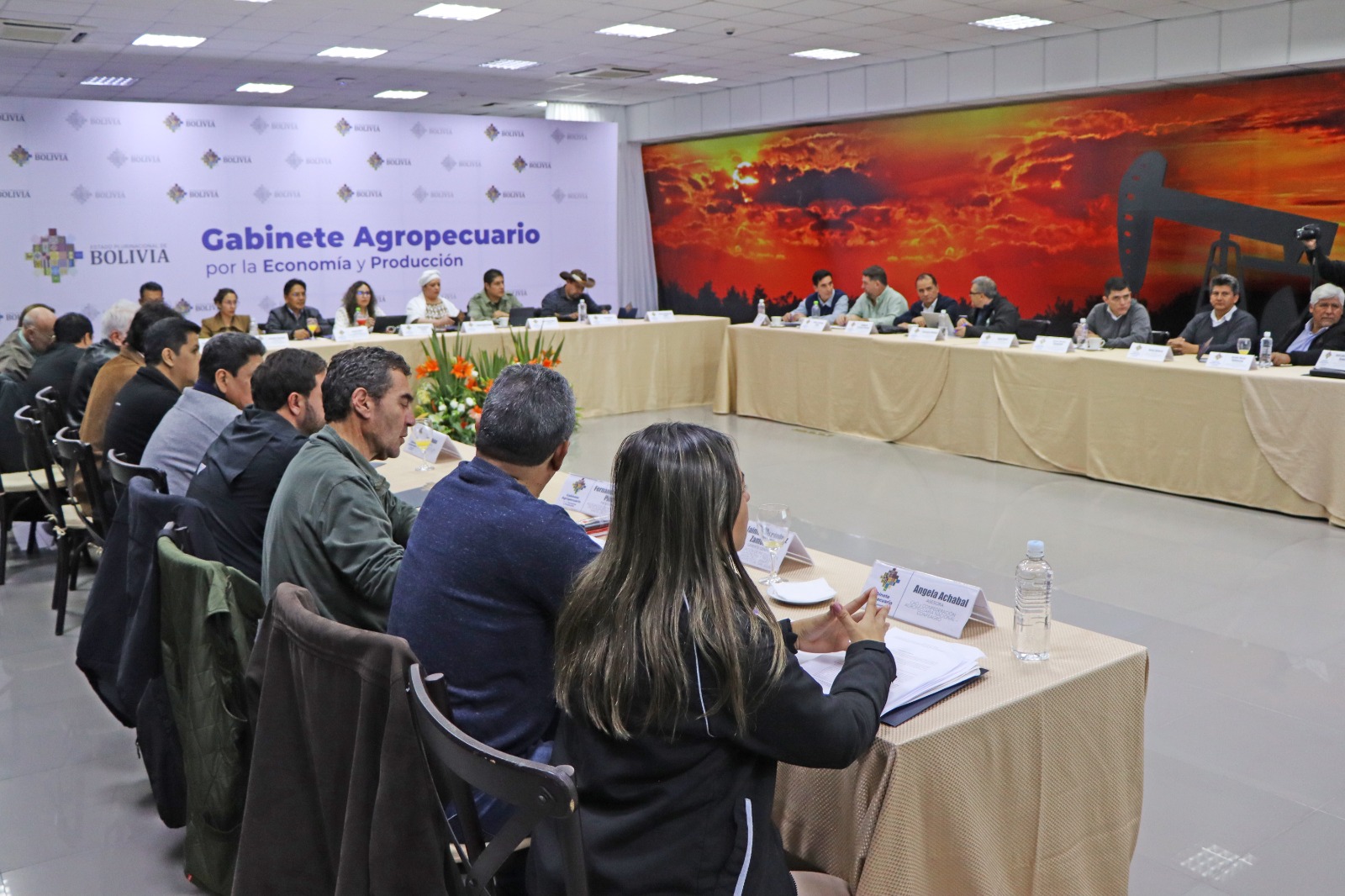 Gobierno, CAO e industria oleaginosa se reúnen este martes en Santa Cruz 