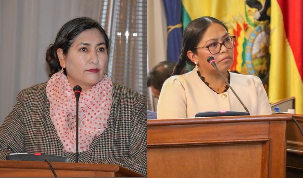 En Potosí eligen a Norma Velasco Mosquera para el TSJ y a Amalia Laura Villca para el TCP