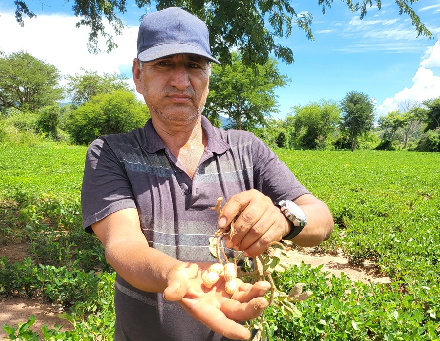 Con el crédito SIBOLIVIA, el BDP contribuyó al fortalecimiento de 7.045 unidades productivas 