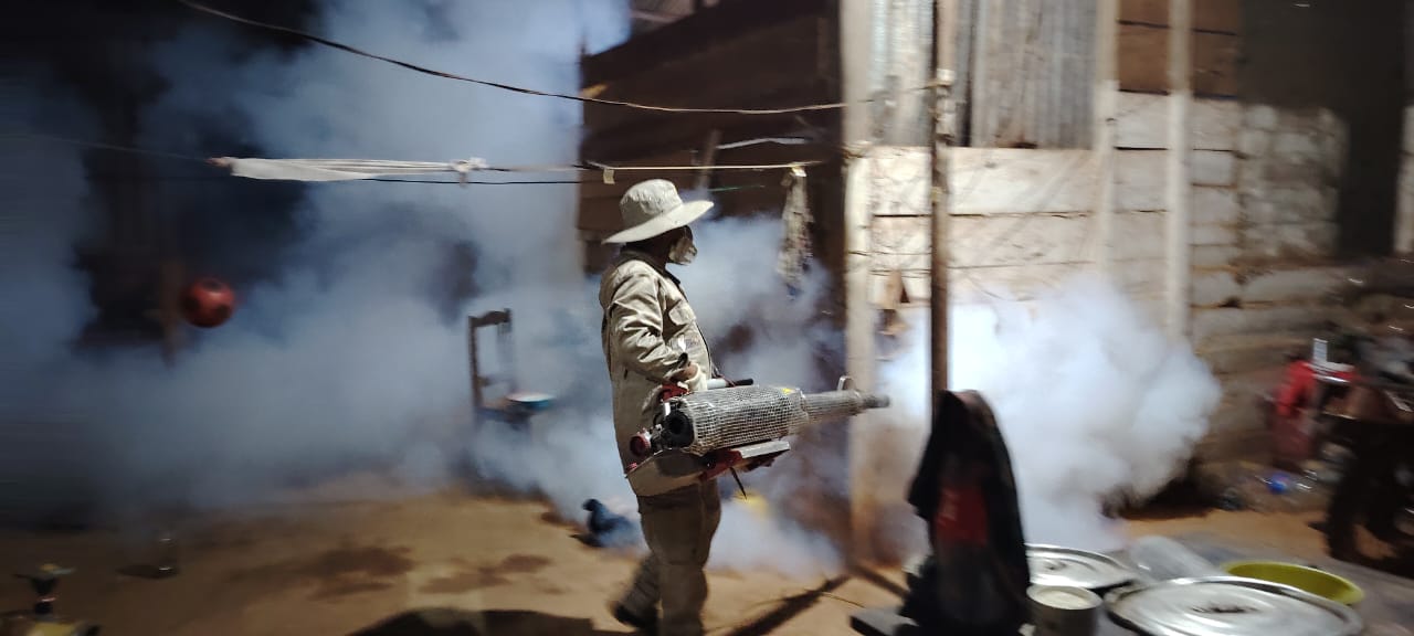 Destacan que vigilancia epidemiológica activa detectó caso importado de chikungunya e instan a eliminar criaderos de mosquitos