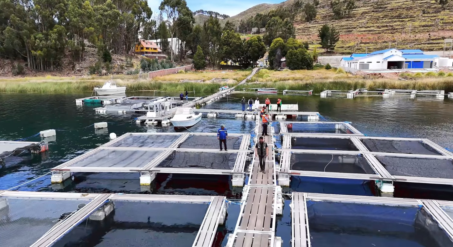Desarrollo Rural inspecciona el Centro Piscícola de Tiquina y destaca producción de peces