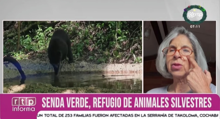 Animales rescatados son rehabilitados física y emocionalmente en Senda Verde