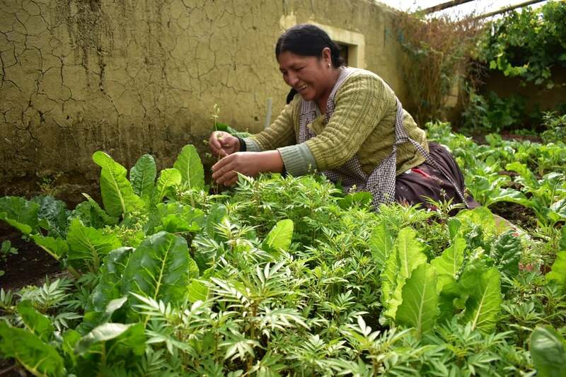 Recem Valles, un proyecto de $us 68 millones que prioriza a mujeres e indígenas en la resiliencia climática en Bolivia