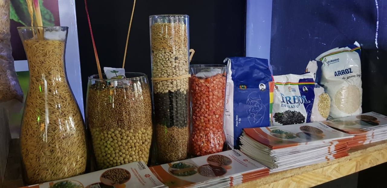 Empresa de Producción de Semillas aumenta sus ingresos en 28% y alcanza a Bs 37,9 millones