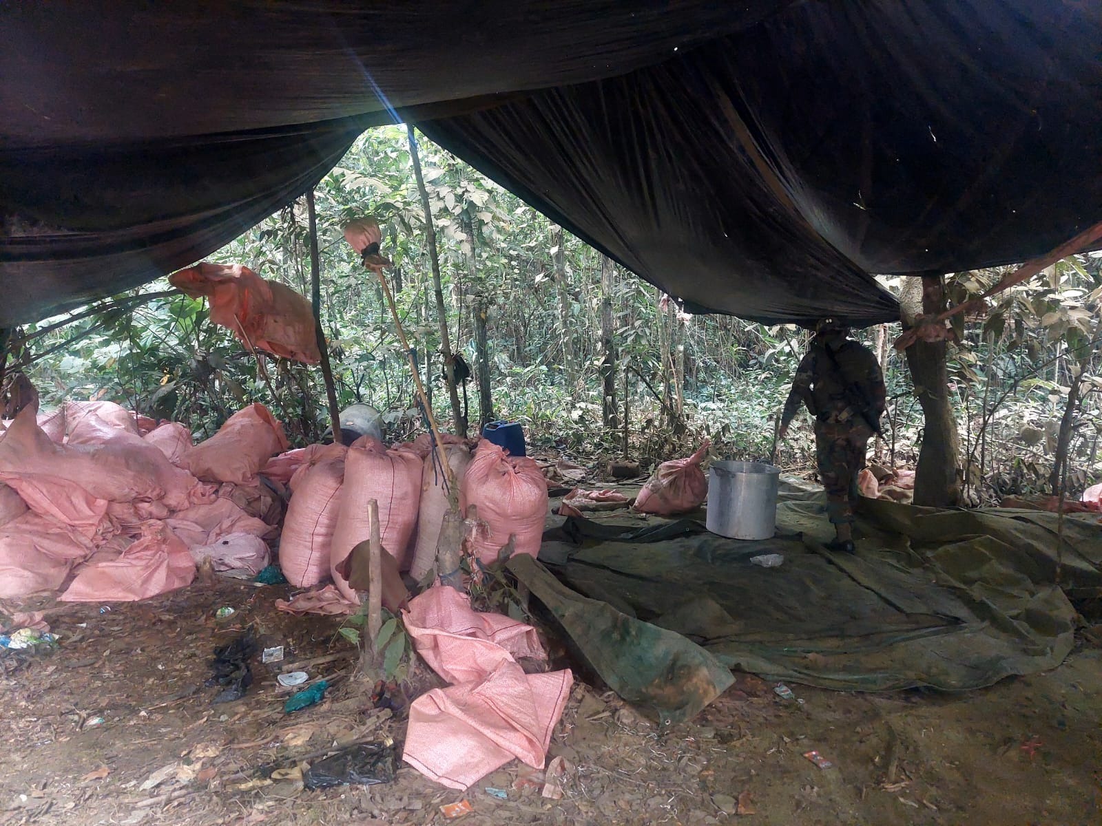 Detectan y destruyen 24 fábricas de droga en el Chapare, suman 48 fábricas en 8 días de bloqueo evista