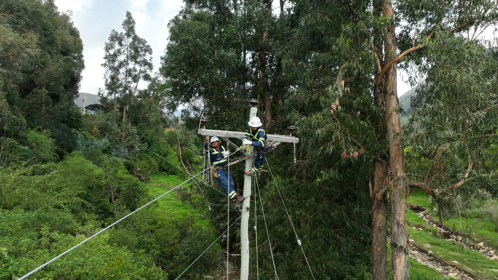 ENDE realiza mantenimiento preventivo de redes eléctricas de distribución en Cochabamba y Pando 