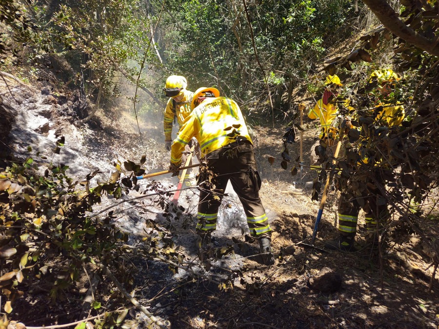 Arce expresa su solidaridad con el pueblo y gobierno de Chile por las muertes producto de los incendios