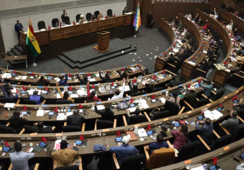 Jefe de Bancada del MAS: En Diputados están estancados al menos 35 proyectos de ley por intereses políticos del evismo y la oposición