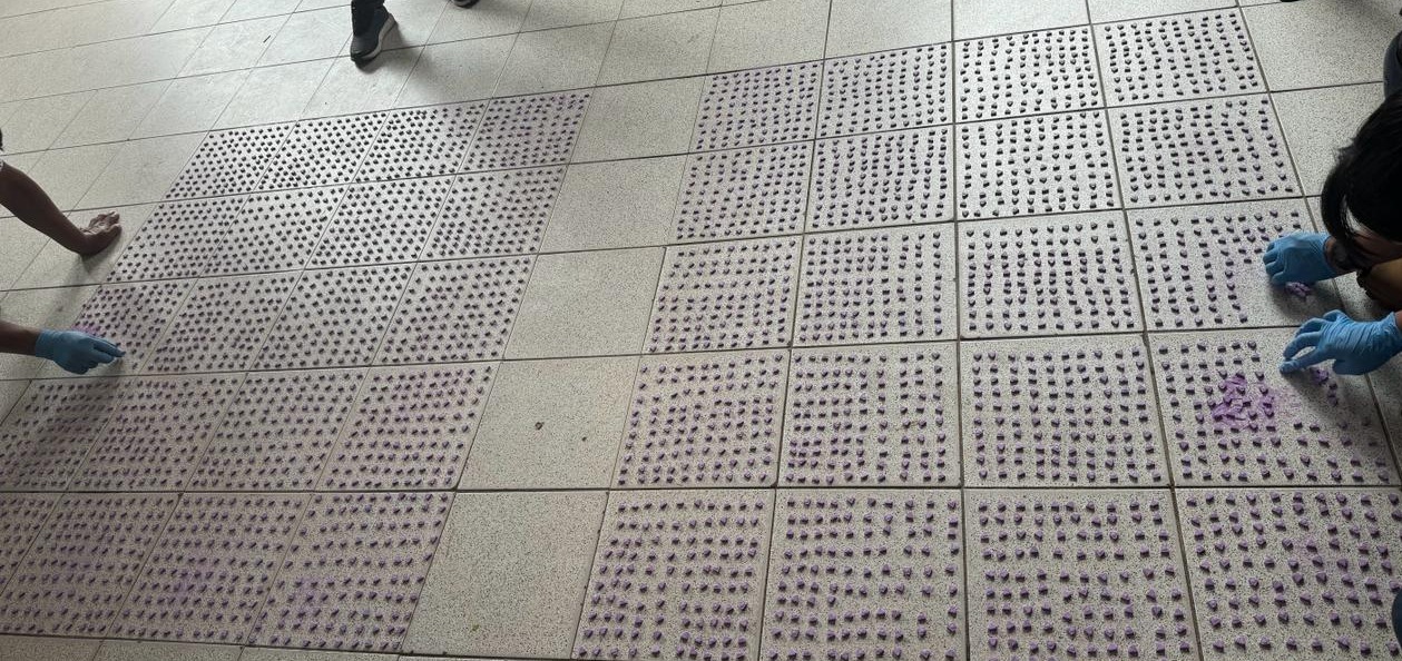 En Santa Cruz aprehenden a dos mujeres que habrían importado 3.965 pastillas de metanfetamina 