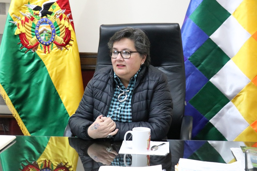 Ministra Navia asegura que Morales privilegia sus intereses políticos y no los del pueblo