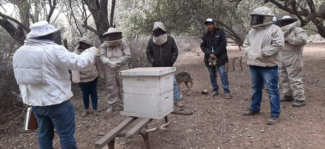 Indígenas guaraníes se capacitan en apicultura para diversificar sus medios de subsistencia