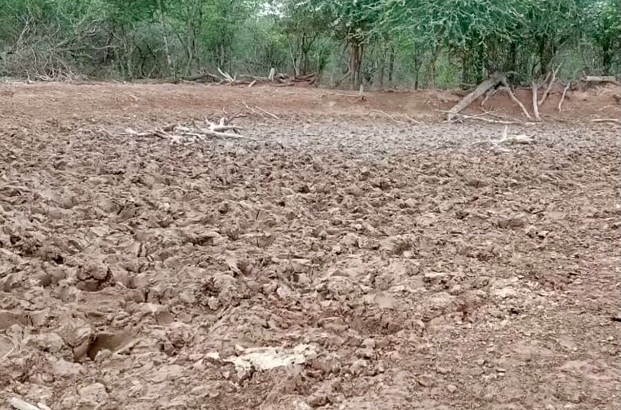 Al menos 11 municipios de Santa Cruz se declaran en desastre por sequía