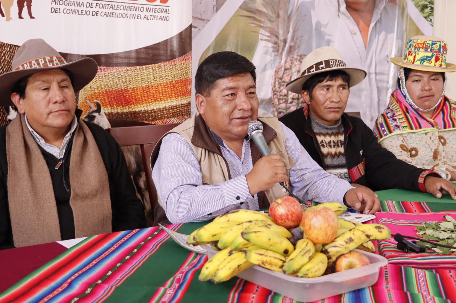 Productores de camélidos ahorran y se benefician con incentivos por más de medio millón de bolivianos
